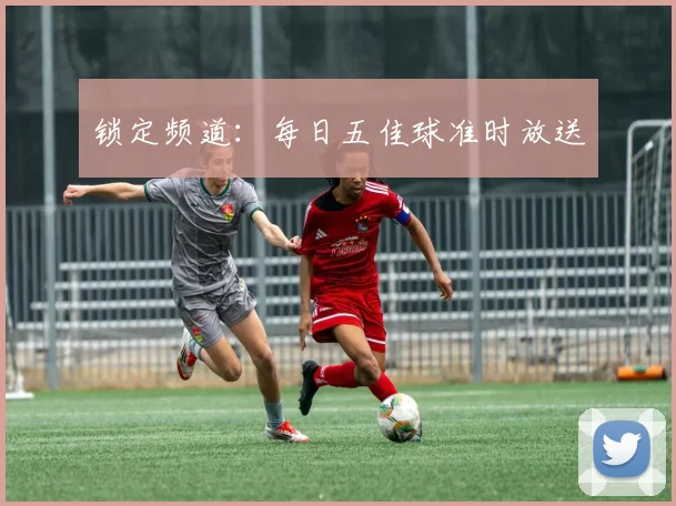 锁定频道：每日五佳球准时放送