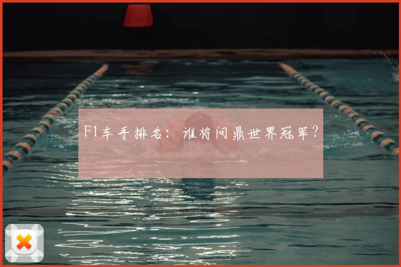 F1车手排名：谁将问鼎世界冠军？